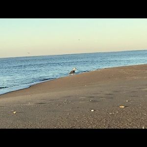 Meet your Posher, Wendy